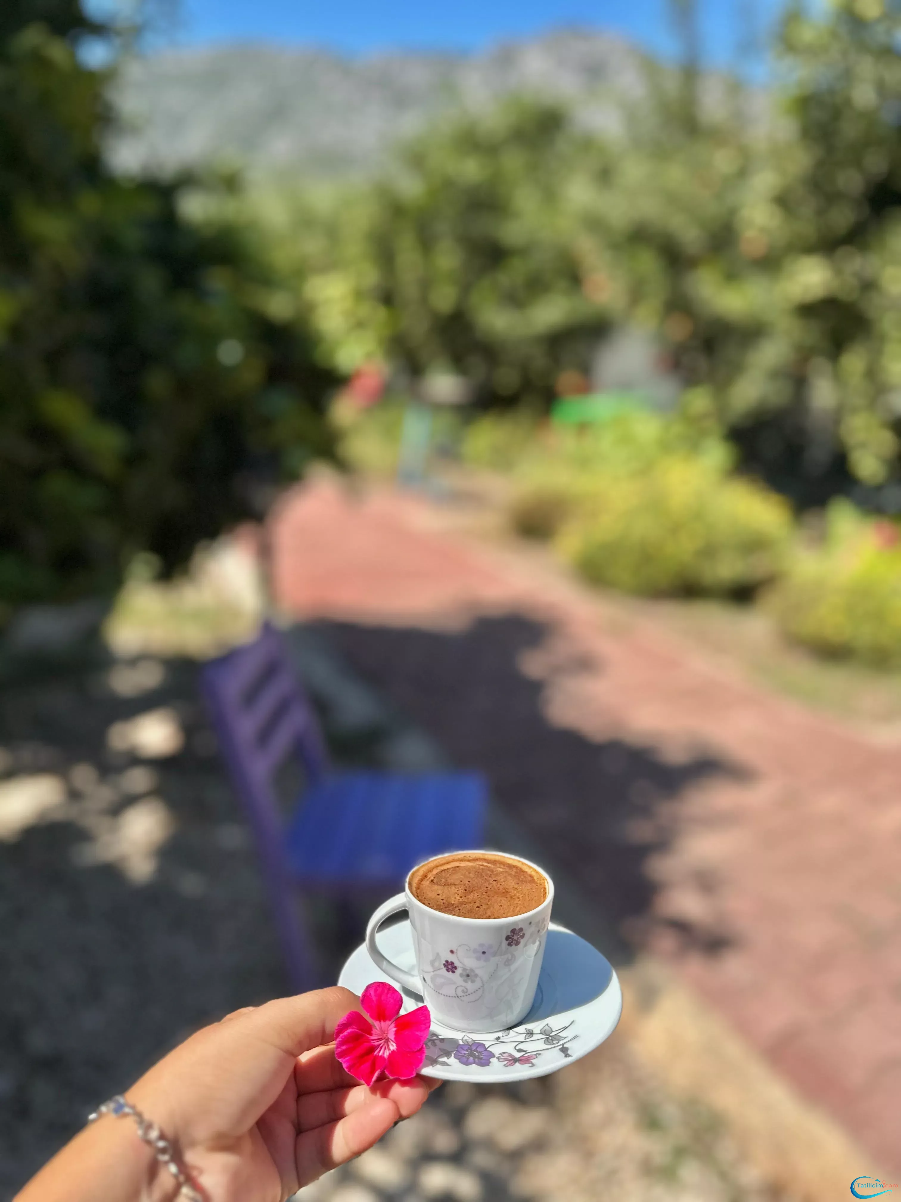 tatilcim.com Zehra Apart Evleri